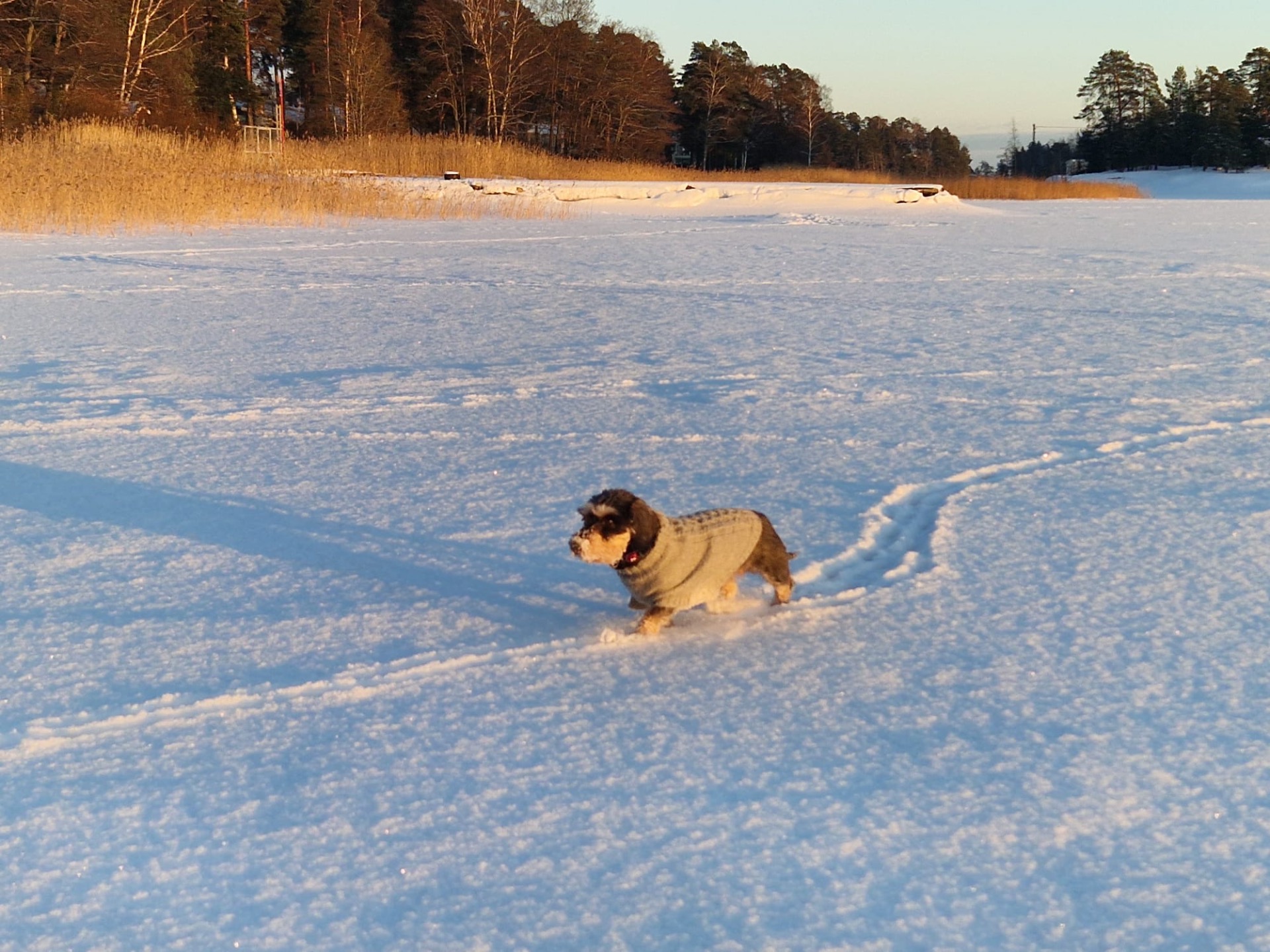Lara-neiti aurinkoisella hangella!