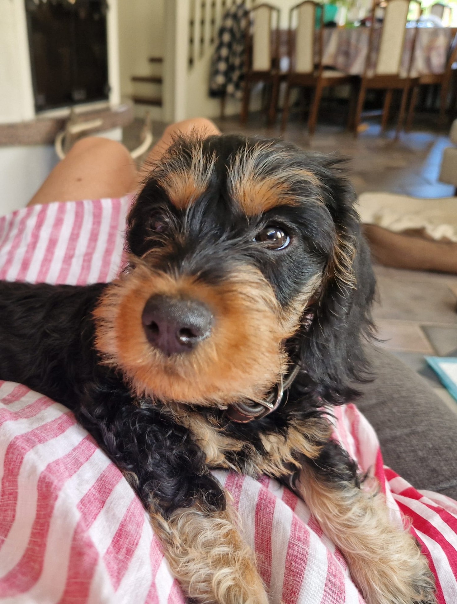 Lila (Lilian), eli Lila